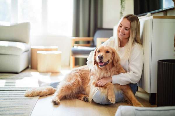 A Portrait of a young woman on the livingroom with golden retriever dog indoors at home.