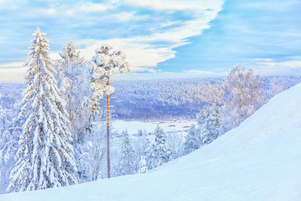 AdobeStock 184444565
