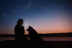 Black silhouettes of a girl and Border collie dog on the star night background