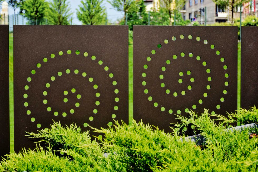 decorative laser cut rusty steel fence panels with spiral shape pattern and lush green juniper shrub. dense foliage. garden scene along public sidewalk. landscaping and gardening concept. summer scene