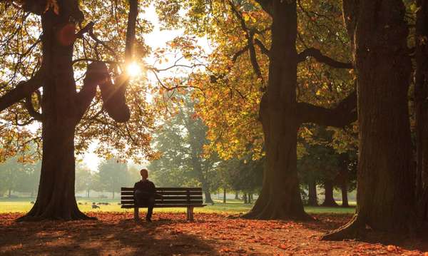 Man sitting on a bench in a park on a sunny autumn morning.