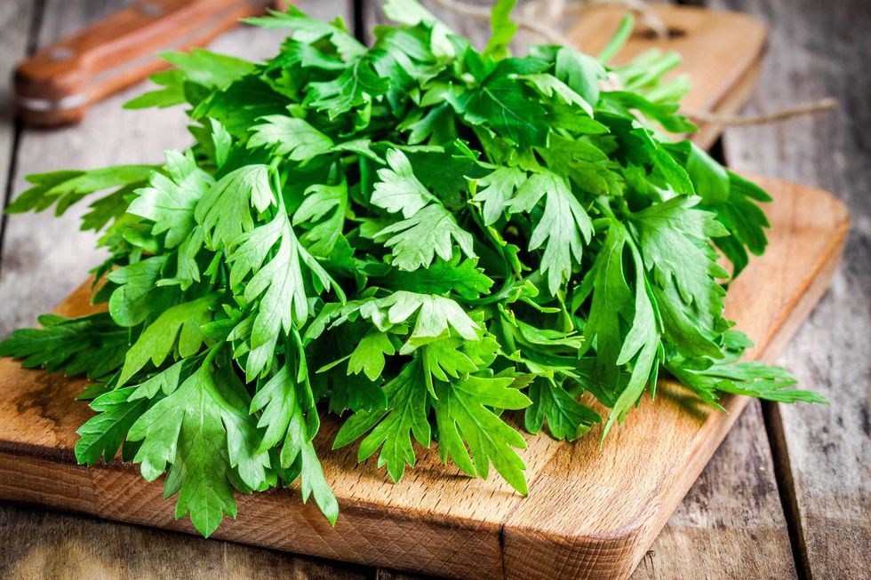 organic fresh bunch of parsley closeup on wooden cutting board
