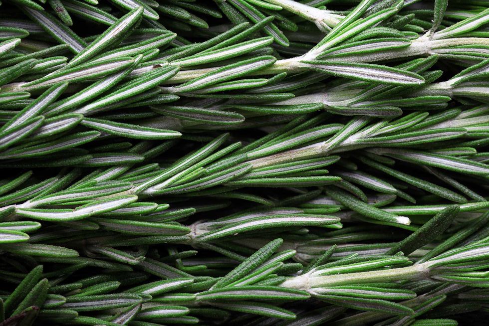 seasoning fresh rosemary