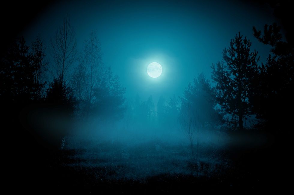 Spooky night foggy forest under the night sky with a full moon in cold blue tones. Halloween backdrop.