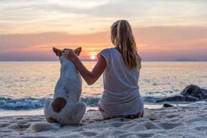 Young woman with dog sitting on the beach and watching the sunset