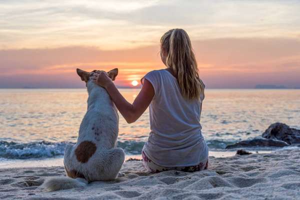 Young woman with dog sitting on the beach and watching the sunset